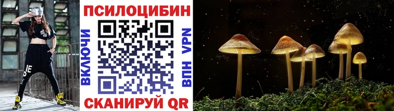 Псилоцибиновые грибы прущие грибы  blacksprut зеркало  Ахтырский 